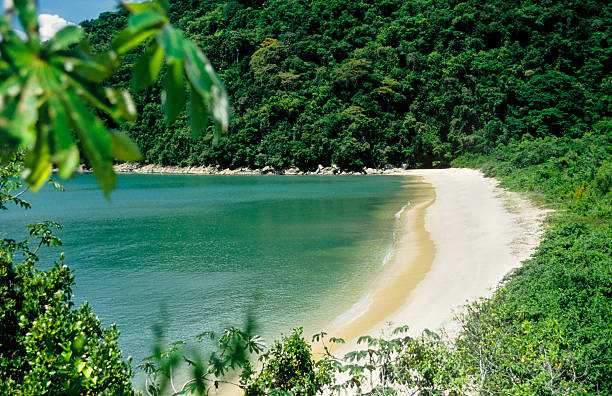 Foto de Vila de Trindade